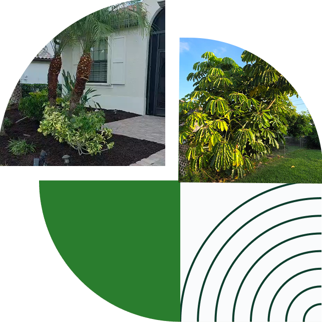 Mendez Lawn Care Work