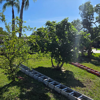 Lawn Care Work 5