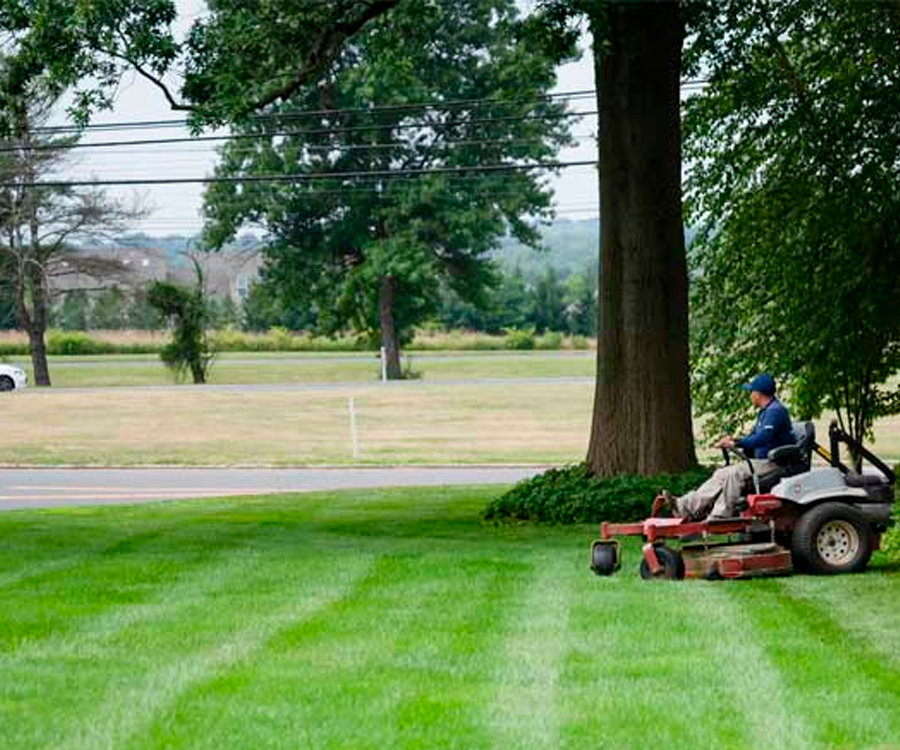 Commercial and Residential Yard Cleanups