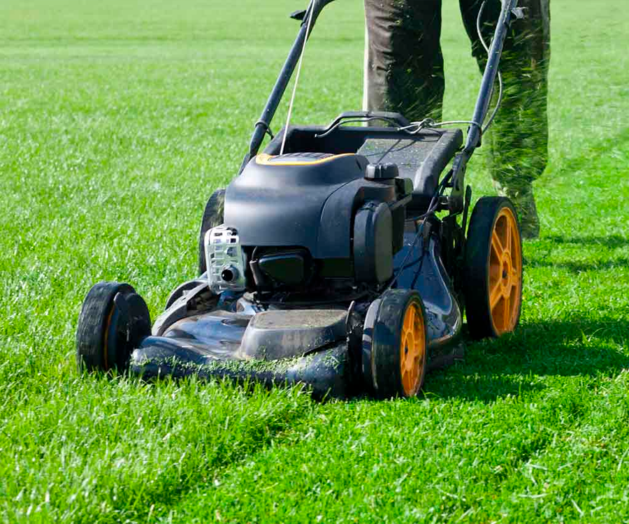 Affordable Lawn Mowing Services