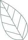 Tree Image